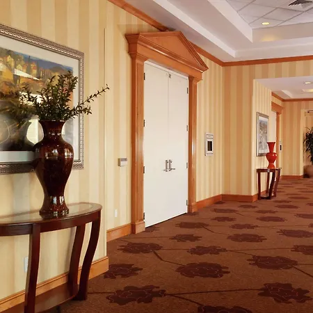 Hilton Garden Inn Atlanta Airport/Millenium Center-3